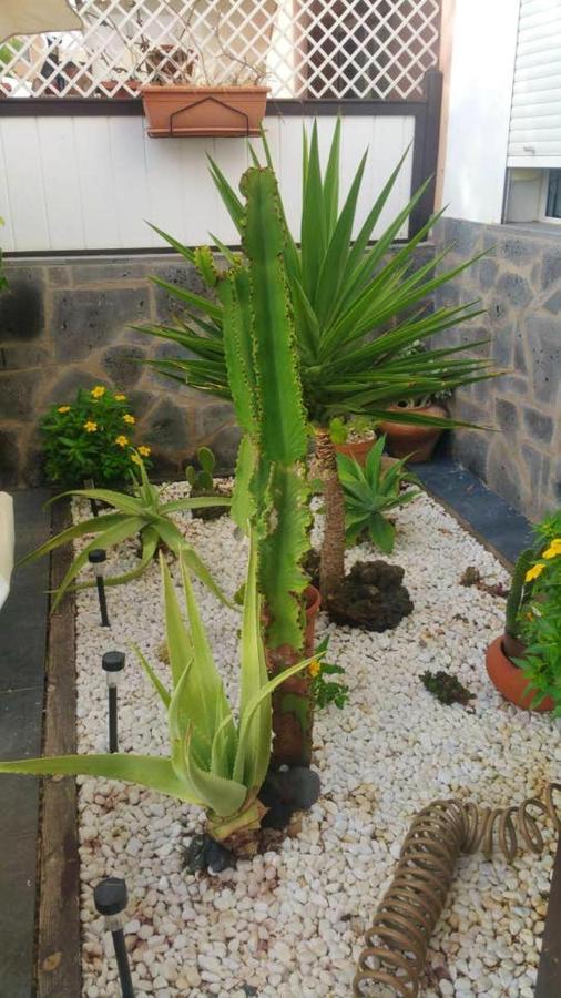 Elegant Villa In Corralejo Eksteriør bilde